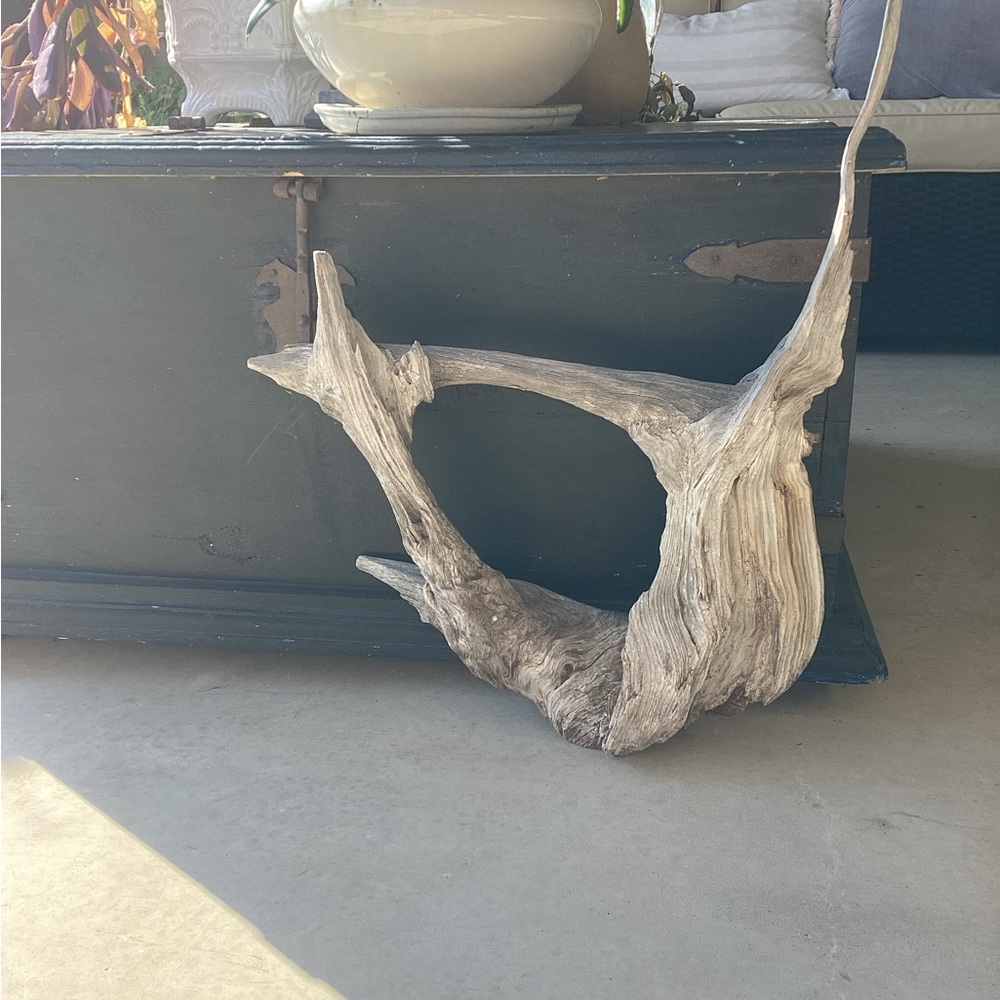 Real Wood, One-Piece Tree Root - Picture 11 of 11